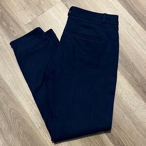 Banana Republic Sloan Pants